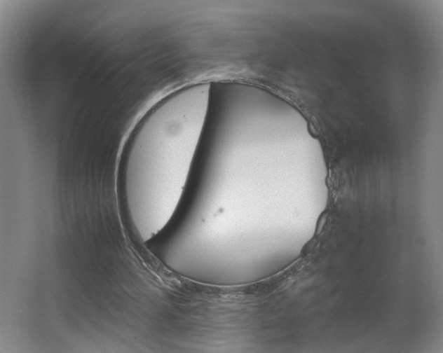 X0000063520196200601201134