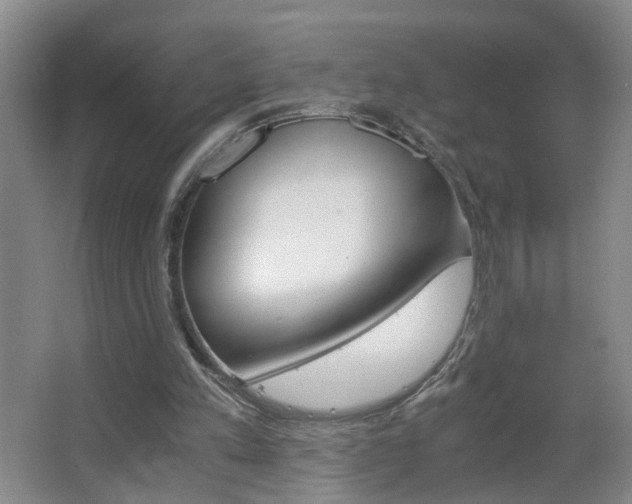 X0000063520197200601201134