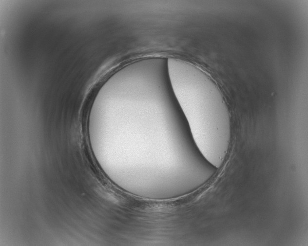 X0000063520198200601201134