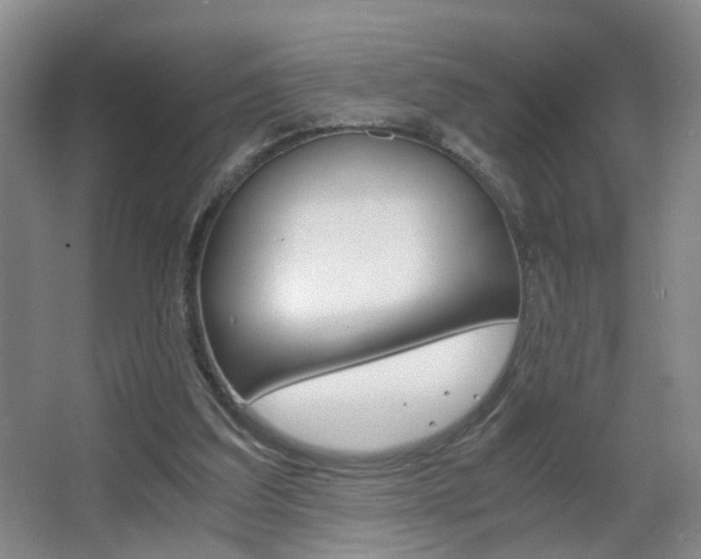 X0000063520203200601201134