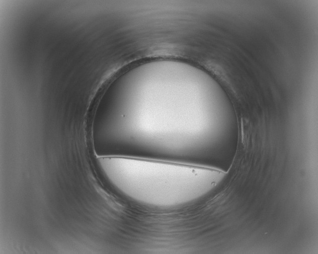 X0000063520204200601201134