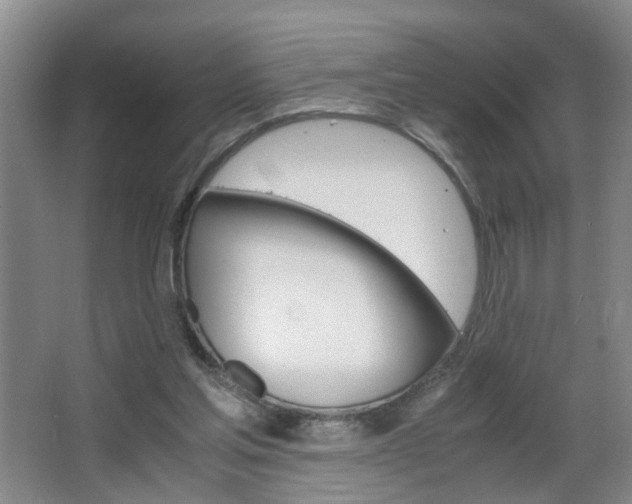 X0000063520205200601201134