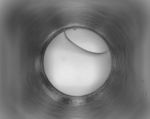 X0000063520208200601201134