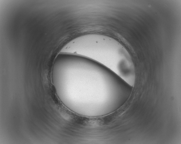 X0000063520209200601201134