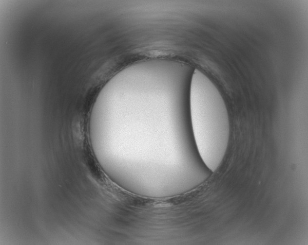 X0000063520210200601201134