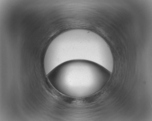 X0000063520211200601201134