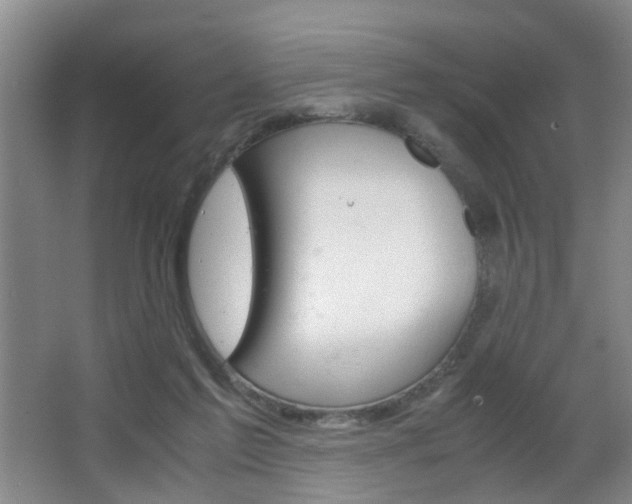 X0000063520213200601201134