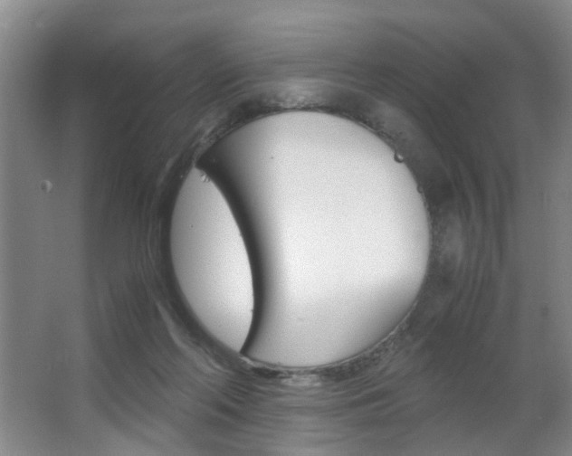 X0000063520214200601201134