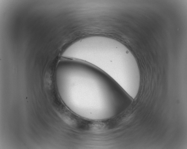 X0000063520215200601201134