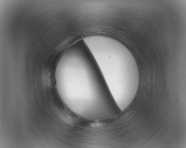 X0000063520216200601201134