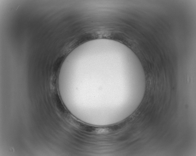 X0000063520218200601201134