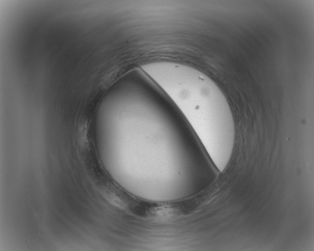 X0000063520219200601201134