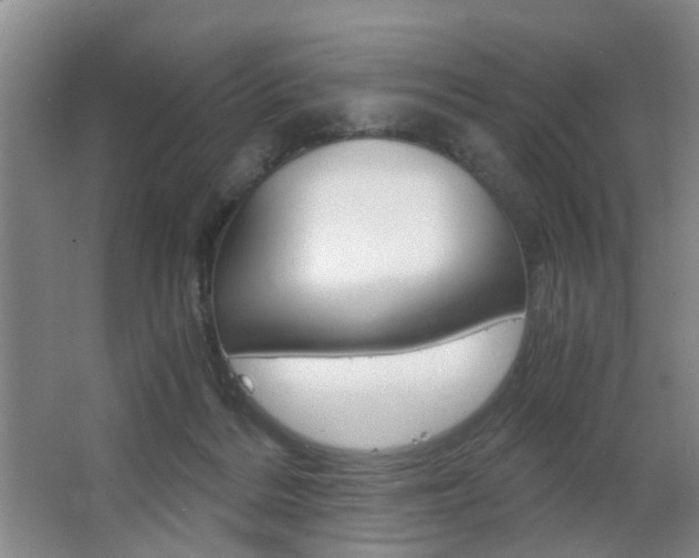 X0000063520220200601201134