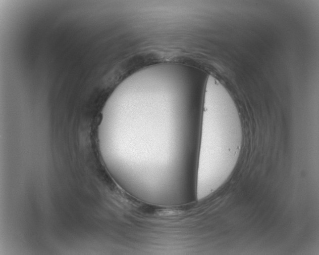 X0000063520221200601201134