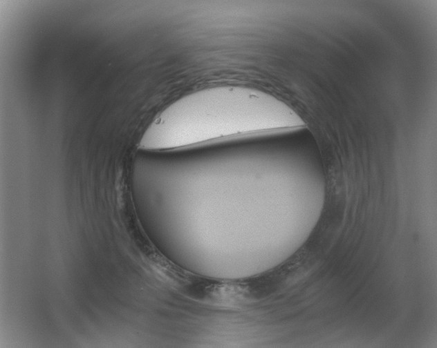 X0000063520223200601201134