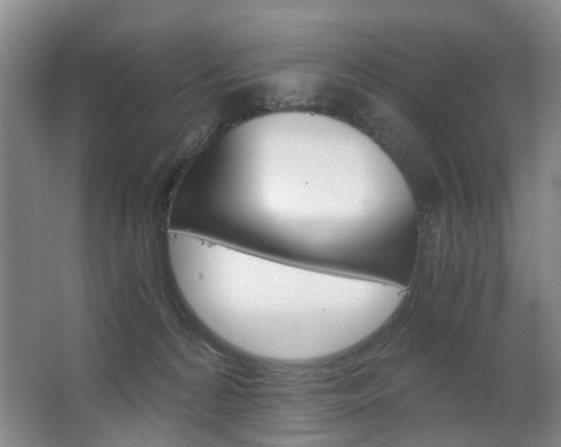 X0000063520224200601201134