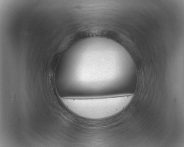 X0000063520225200601201134