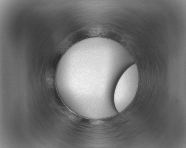 X0000063520226200601201134