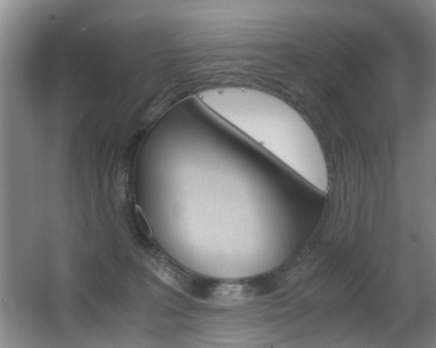 X0000063520227200601201134