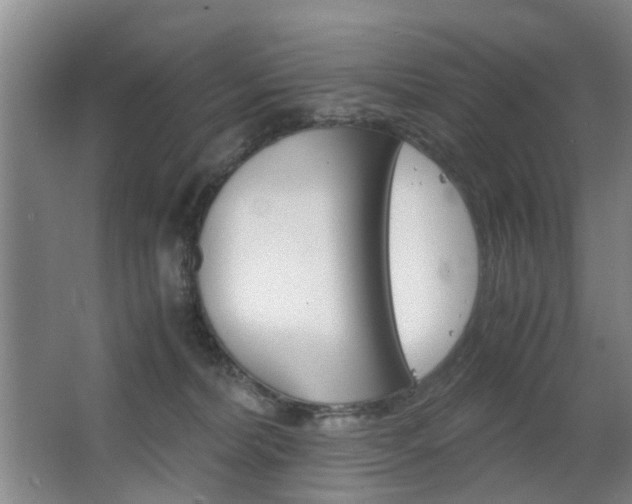 X0000063520228200601201133