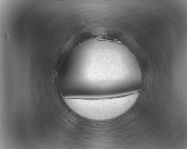 X0000063520229200601201133