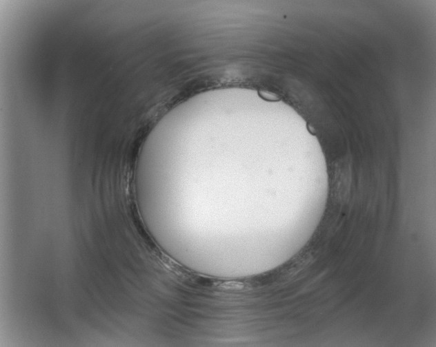 X0000063520230200601201133