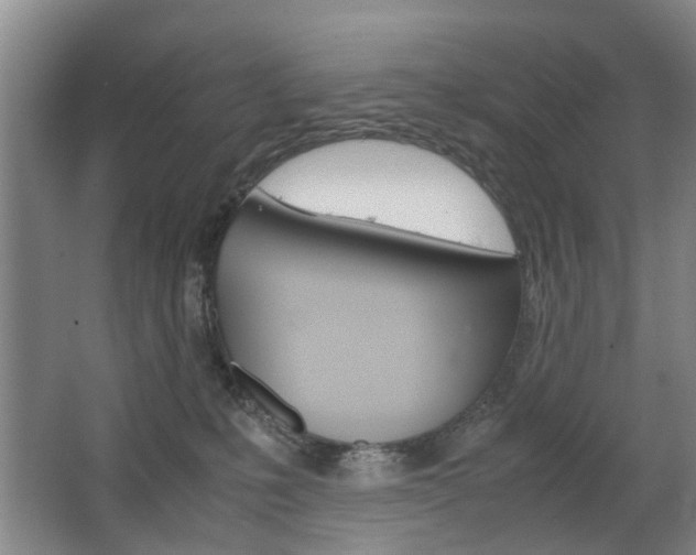 X0000063520231200601201133