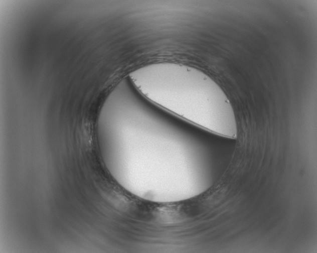 X0000063520232200601201133