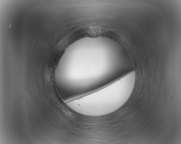 X0000063520233200601201133