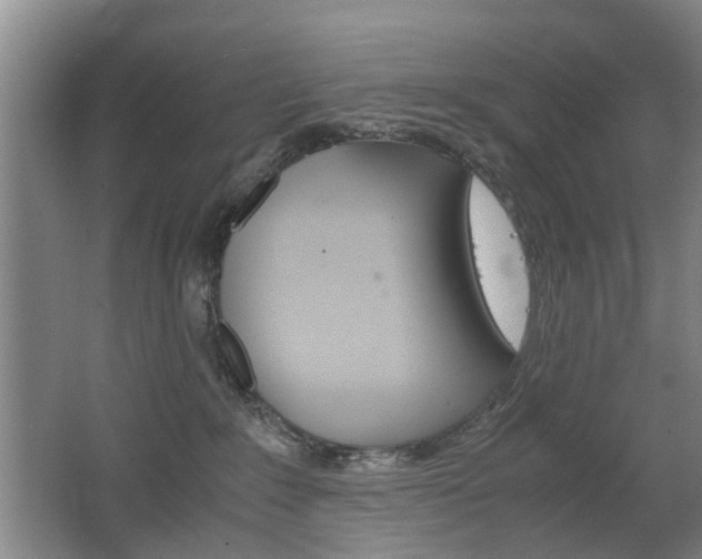 X0000063520235200601201133