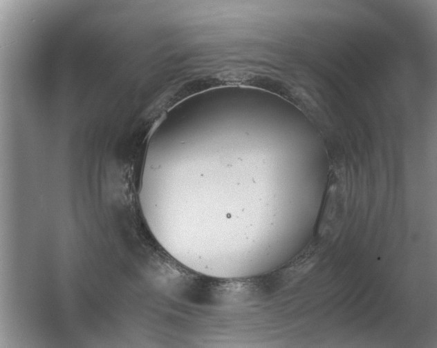 X0000063520237200601201133