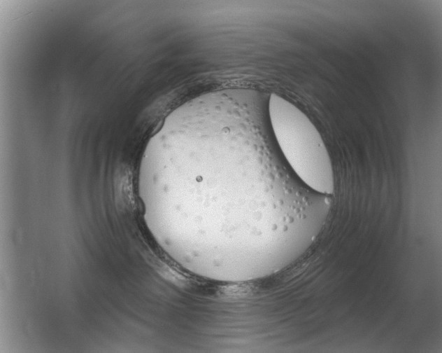 X0000063520238200601201133