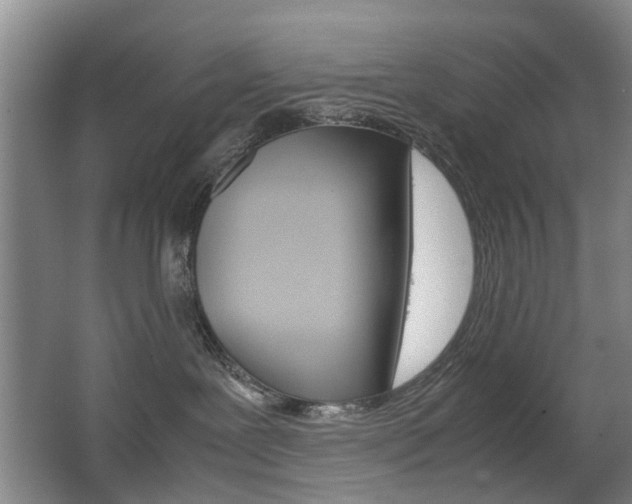 X0000063520239200601201133