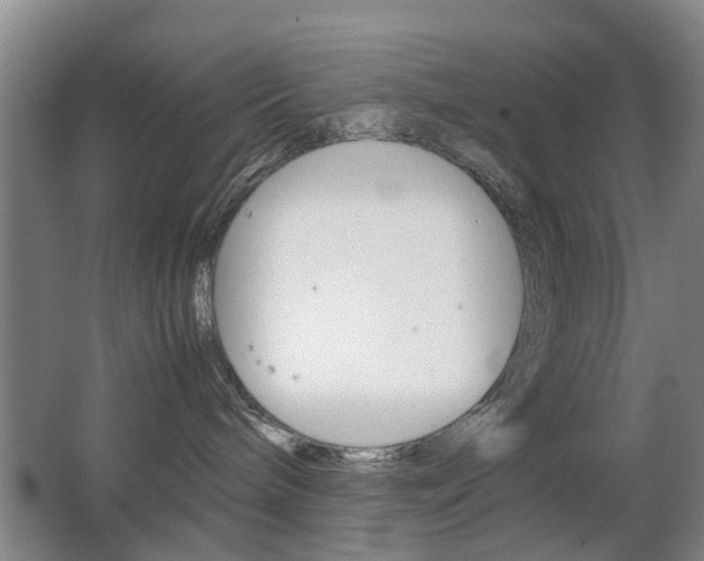 X0000063520240200601201133