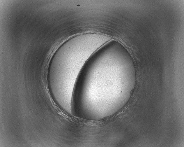 X0000063520241200601201132