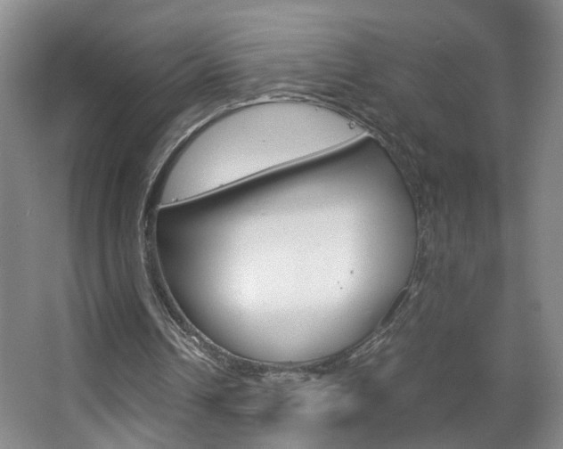 X0000063520242200601201132