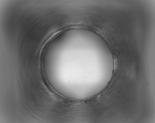 X0000063520243200601201133