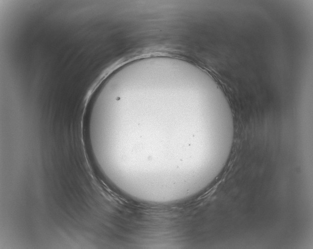 X0000063520244200601201133