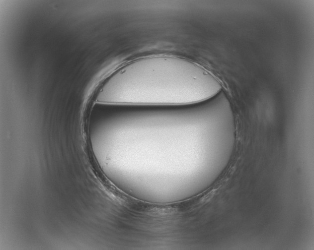 X0000063520245200601201133