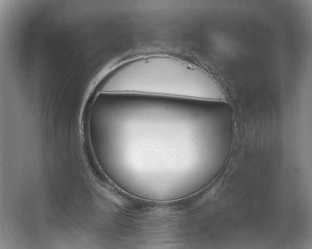 X0000063520246200601201133