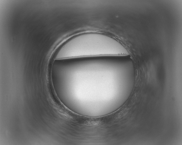 X0000063520247200601201133