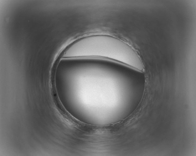 X0000063520248200601201133