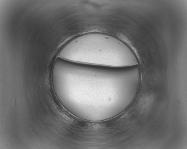 X0000063520249200601201133