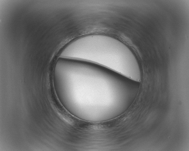 X0000063520250200601201133