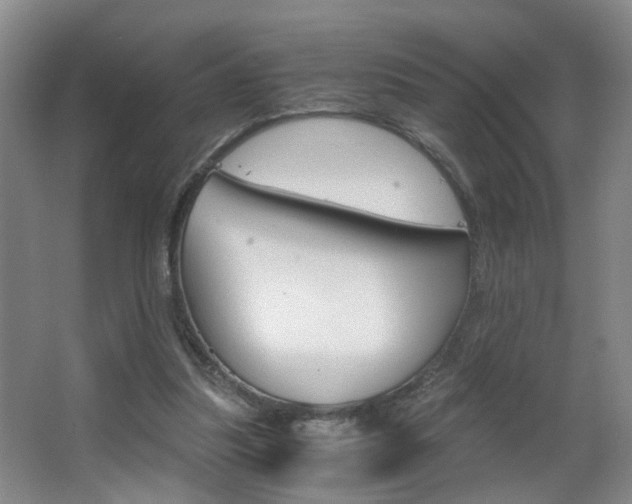 X0000063520251200601201133