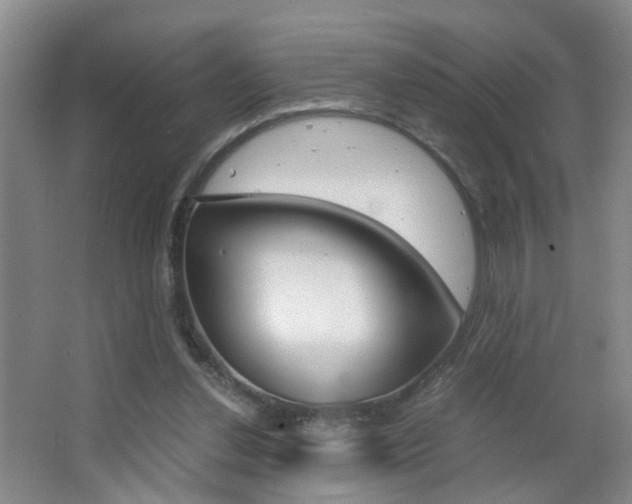 X0000063520252200601201133