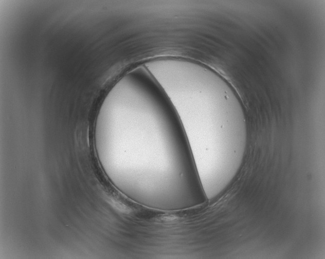 X0000063520253200601201133