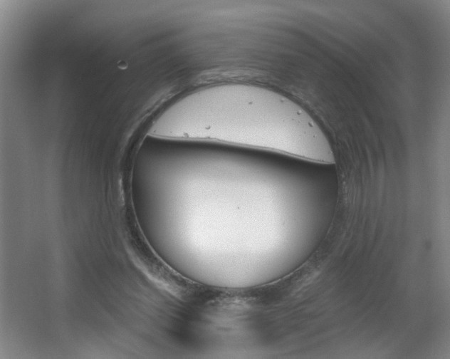 X0000063520254200601201133