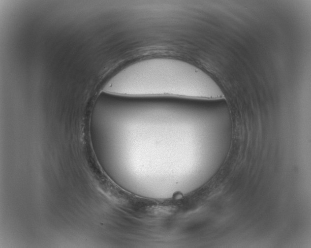 X0000063520255200601201133