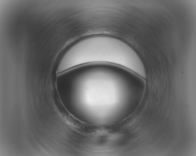 X0000063520256200601201133